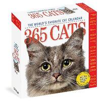365 Cats Page-A-Day Calendar 2025: The World's Favourite Cat Calendar