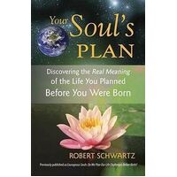 Your Soul's Plan: Discovering the Real Meaning of the Life You Planned Before You Were Born