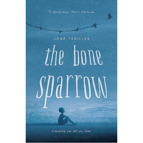 Bone Sparrow, The