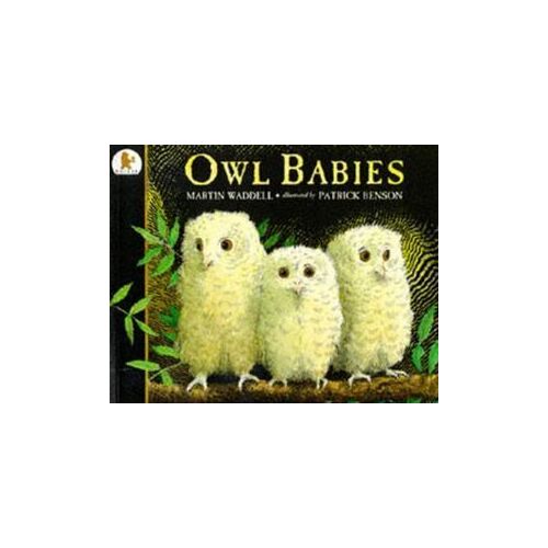 Owl Babies