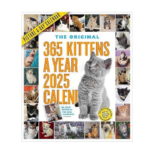 365 Kittens-A-Year Picture-A-Day Wall Calendar 2025