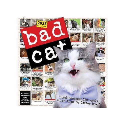 Bad Cat Wall Calendar 2025: Celebrating the Misfits of the Feline World