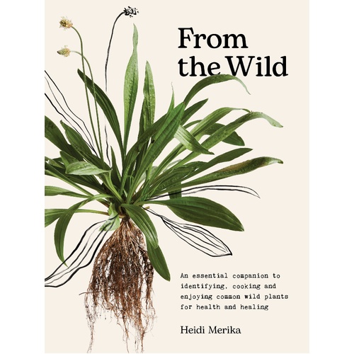 From the Wild: An essential companion to identifying, cooking and enjoying common wild plants for health and healing