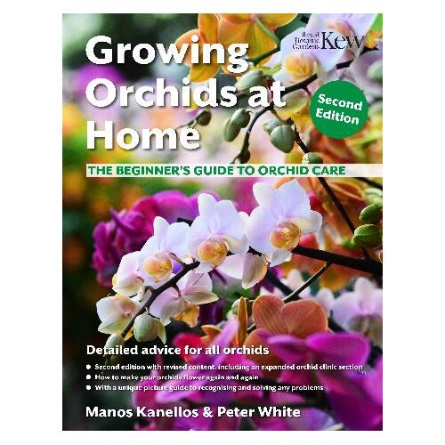 Growing Orchids at Home